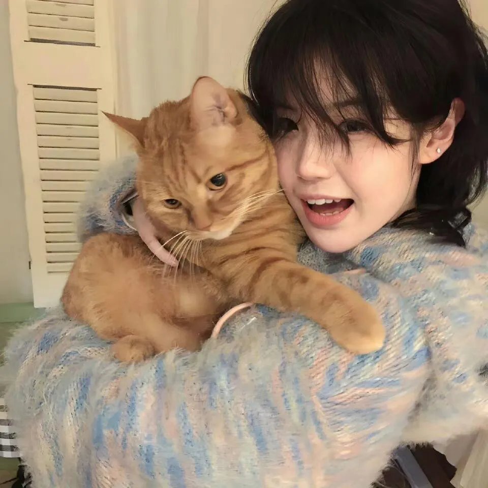 龟猴分树